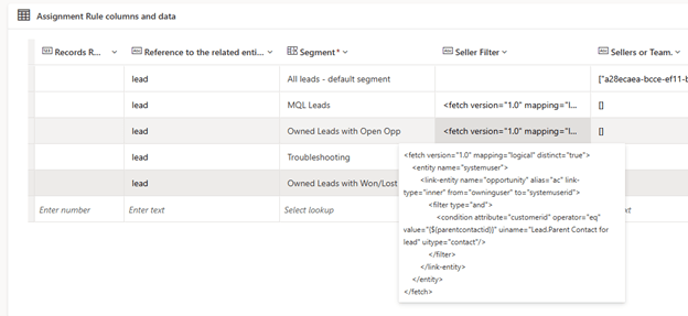 A screenshot of an assignment rule interface showing columns like 'Records Reference', 'Segment', and 'Seller Filter' in a lead management system.